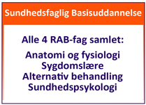 Sundhedsfaglig Basisuddannelse